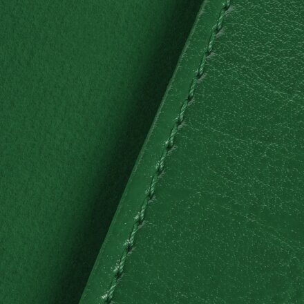 Обложка для паспорта Nebraska, зеленая Обложка для паспорта Nebraska, зеленая