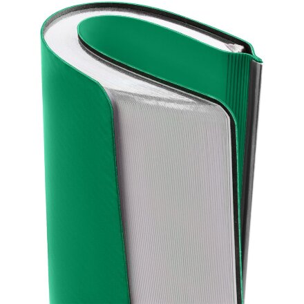 Ежедневник Aspect на заказ, недатированный, зеленый Ежедневник Aspect на заказ, недатированный, зеленый