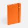 Ежедневник Favor Gold, недатированный, оранжевый Ежедневник Favor Gold, недатированный, оранжевый