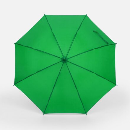 Зонт-трость Promo, зеленый Зонт-трость Promo, зеленый