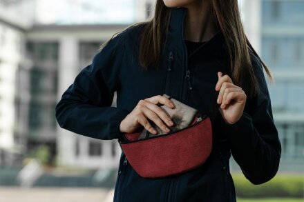 Поясная сумка Handy Dandy, бордовая Поясная сумка Handy Dandy, бордовая