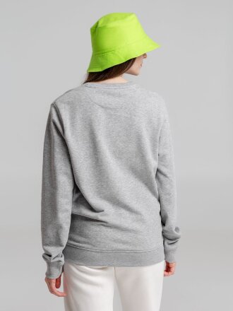 Панама Challenge, зеленое яблоко Панама Challenge, зеленое яблоко