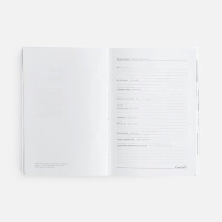 Ежедневник Baza, датированный, зеленый Ежедневник Baza, датированный, зеленый