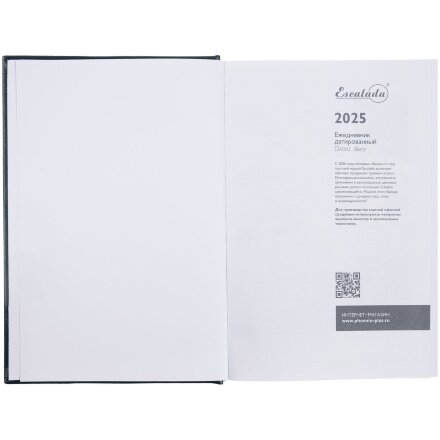 Ежедневник Baza, датированный, зеленый Ежедневник Baza, датированный, зеленый