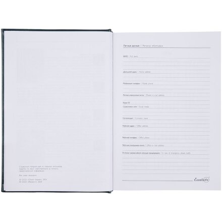 Ежедневник Baza, датированный, зеленый Ежедневник Baza, датированный, зеленый