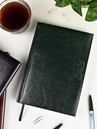 Ежедневник Baza, датированный, зеленый Ежедневник Baza, датированный, зеленый