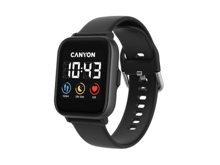 Смарт-часы со встроенным плеером Canyon SaltSW-78, черный (Р) Смарт-часы со встроенным плеером Canyon SaltSW-78, черный (Р)