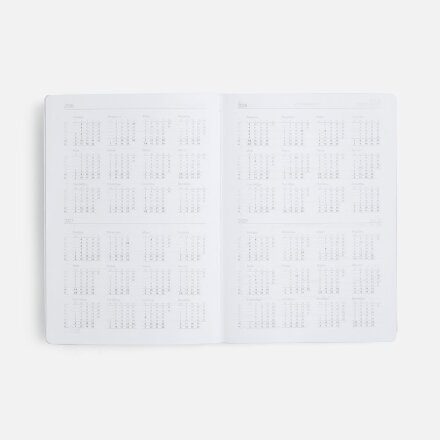 Ежедневник Must, датированный, оранжевый Ежедневник Must, датированный, оранжевый