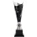 Кубок-факел Flamous Glory Кубок-факел Flamous Glory