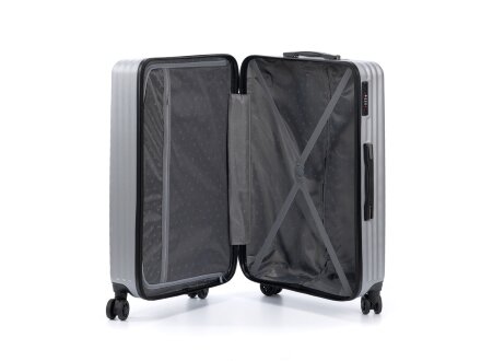 Чемодан TORBER Lama, серебристый, ABS-пластик, 49 х 29,5 х 77 см, 92 л Чемодан TORBER Lama, серебристый, ABS-пластик, 49 х 29,5 х 77 см, 92 л