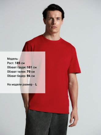 Футболка унисекс Streetwise, красная Футболка унисекс Streetwise, красная