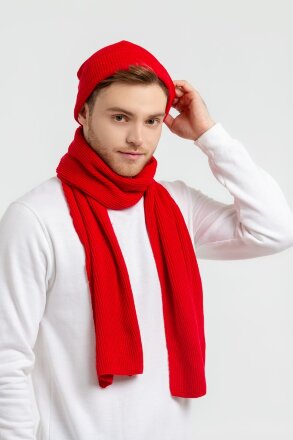 Шапка Life Explorer, красная (алая) Шапка Life Explorer, красная (алая)