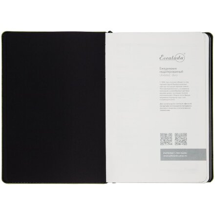 Ежедневник Alanis, недатированный, черный с зеленым Ежедневник Alanis, недатированный, черный с зеленым