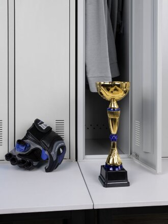 Кубок Awardee, средний, синий Кубок Awardee, средний, синий