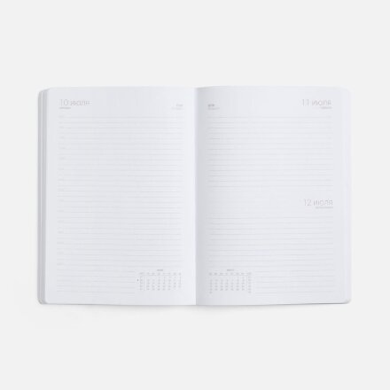 Ежедневник Basis, датированный, зеленый Ежедневник Basis, датированный, зеленый