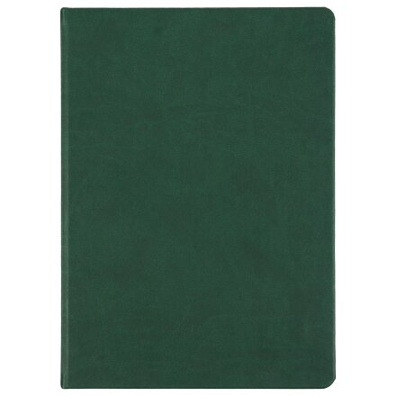 Ежедневник Basis, датированный, зеленый Ежедневник Basis, датированный, зеленый