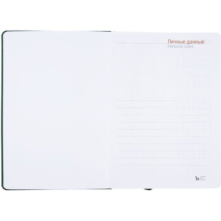 Ежедневник Basis, датированный, зеленый Ежедневник Basis, датированный, зеленый