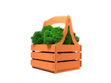 Композиция Корзинка со мхом, оранжевый