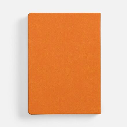 Ежедневник Basis, датированный, оранжевый