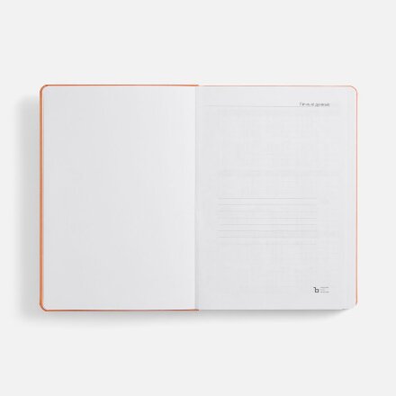 Ежедневник Basis, датированный, оранжевый