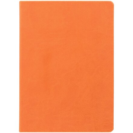 Ежедневник Basis, датированный, оранжевый Ежедневник Basis, датированный, оранжевый