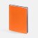 Ежедневник Spring Shall, недатированный, оранжевый Ежедневник Spring Shall, недатированный, оранжевый
