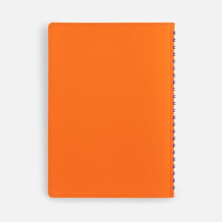 Ежедневник Spring Shall, недатированный, оранжевый Ежедневник Spring Shall, недатированный, оранжевый