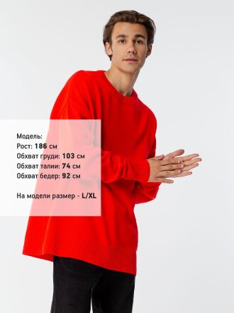 Джемпер оверсайз унисекс Stated в сумке, красный Джемпер оверсайз унисекс Stated в сумке, красный