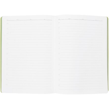 Ежедневник Flexpen, недатированный, серебристо-зеленый Ежедневник Flexpen, недатированный, серебристо-зеленый