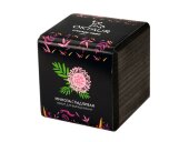 Набор для выращивания Small village cube Мимоза стыдливая Набор для выращивания Small village cube Мимоза стыдливая