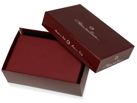 Ручка перьевая Cesare Emiliano в футляре, серебристый Ручка перьевая Cesare Emiliano в футляре, серебристый