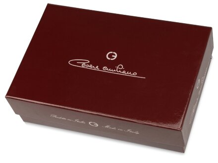 Ручка перьевая Cesare Emiliano в футляре, серебристый Ручка перьевая Cesare Emiliano в футляре, серебристый