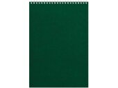 Бизнес - блокнот Альт А4 (198 х 285 мм) Office 60 л., зеленый
