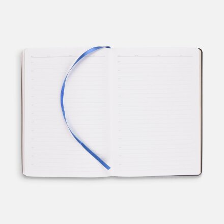 Ежедневник Nebraska Flex, недатированный, синий с золотистым