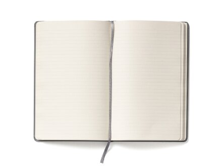 Записная книжка Moleskine Classic (в линейку) в твердой обложке, Large (13х21см), серый Записная книжка Moleskine Classic (в линейку) в твердой обложке, Large (13х21см), серый