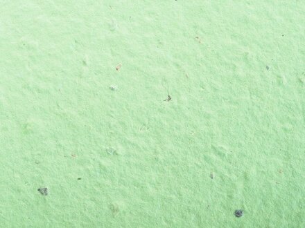 Живой блокнот с семенами цветов, А6, зеленое яблоко Живой блокнот с семенами цветов, А6, зеленое яблоко