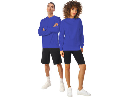 Свитшот Warsaw 220гр, унисекс, кл. синий Свитшот Warsaw 220гр, унисекс, кл. синий