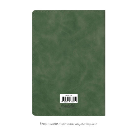 Ежедневник Верона (Verona) недатированный, зеленый (без упаковки, без стикера)