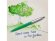 Шариковая ручка Parker Jotter, цвет GREEN, цвет чернил синий, толщина линии M , в подарочной коробке с нанесением логотипа