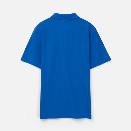 Рубашка поло унисекс Tervise, ярко-синяя Рубашка поло унисекс Tervise, ярко-синяя